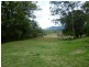 1706 Tyalgum Road, Tyalgum NSW 2484