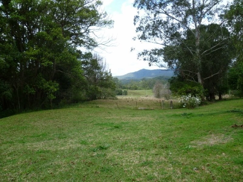 1706 Tyalgum Road, Tyalgum NSW 2484