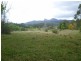 1706 Tyalgum Road, Tyalgum NSW 2484