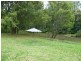 1706 Tyalgum Road, Tyalgum NSW 2484