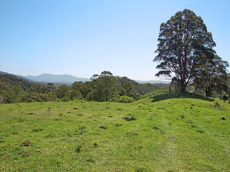 Stokers Siding NSW 2484