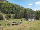 Murwillumbah NSW 2484