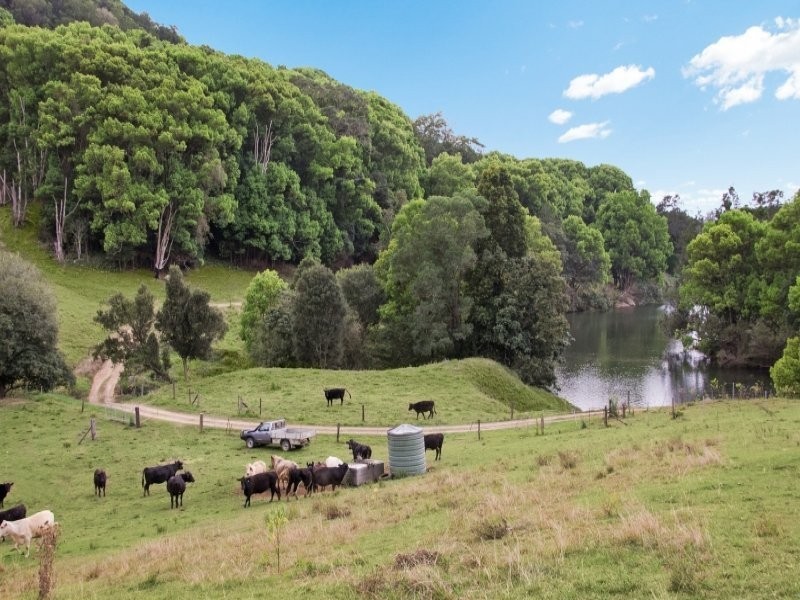 Murwillumbah NSW 2484