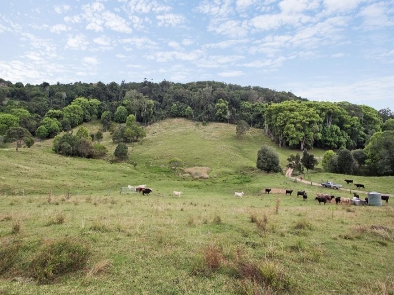 Murwillumbah NSW 2484
