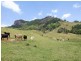 Murwillumbah NSW 2484