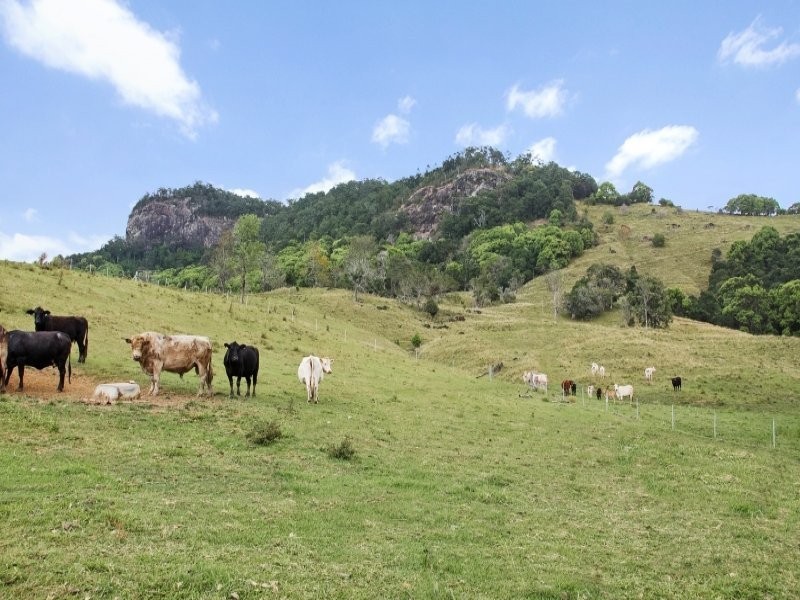 Murwillumbah NSW 2484