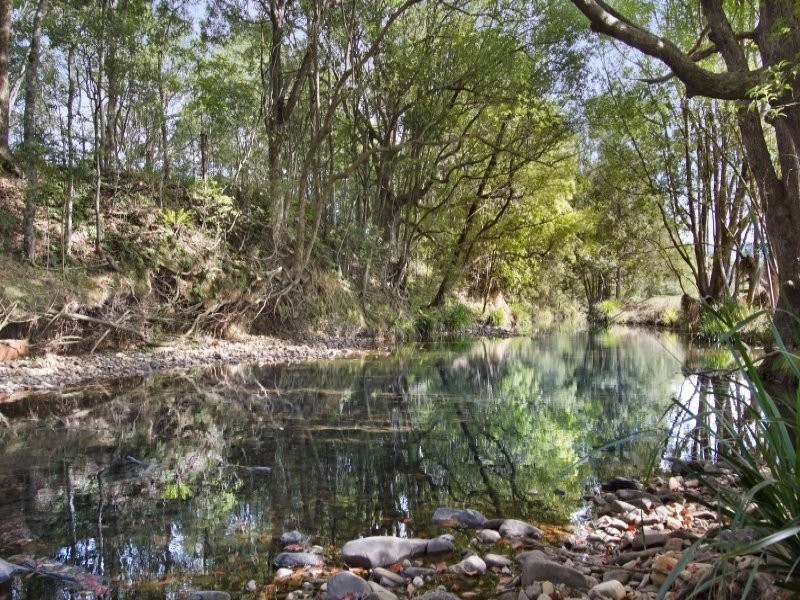 964 Numinbah Road, Crystal Creek NSW 2484