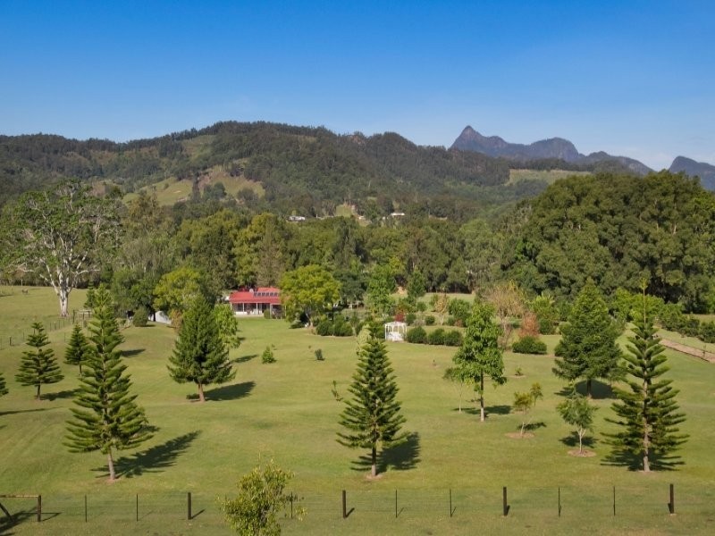 964 Numinbah Road, Crystal Creek NSW 2484