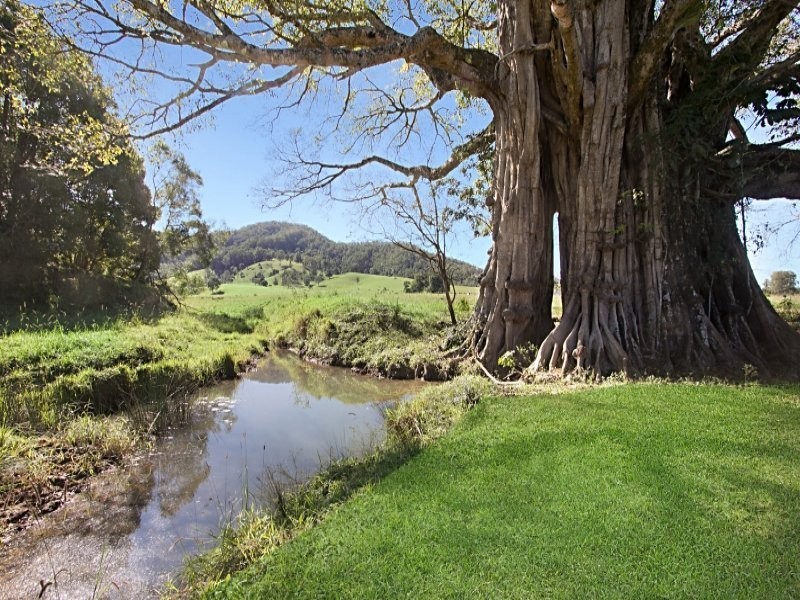 18 Everests Road, Eungella NSW 2484