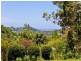 712 Carool Road, Carool NSW 2486