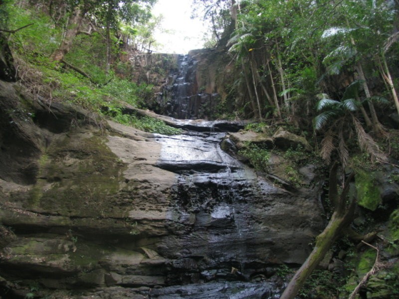 646 Hopkins Creek Road, Hopkins Creek NSW 2484