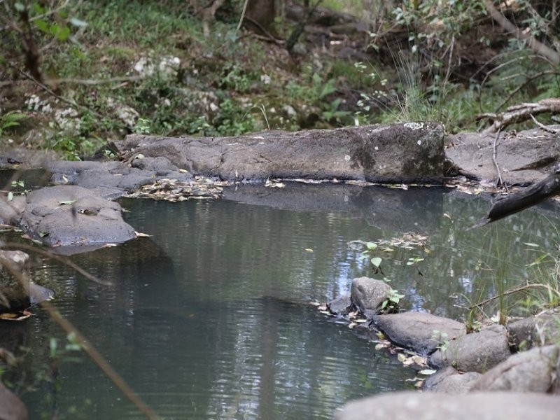 646 Hopkins Creek Road, Hopkins Creek NSW 2484