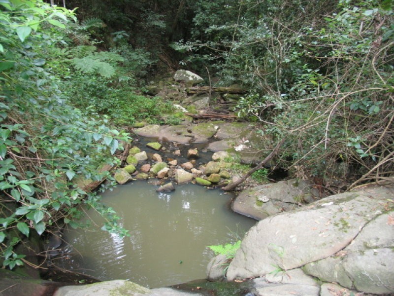 646 Hopkins Creek Road, Hopkins Creek NSW 2484