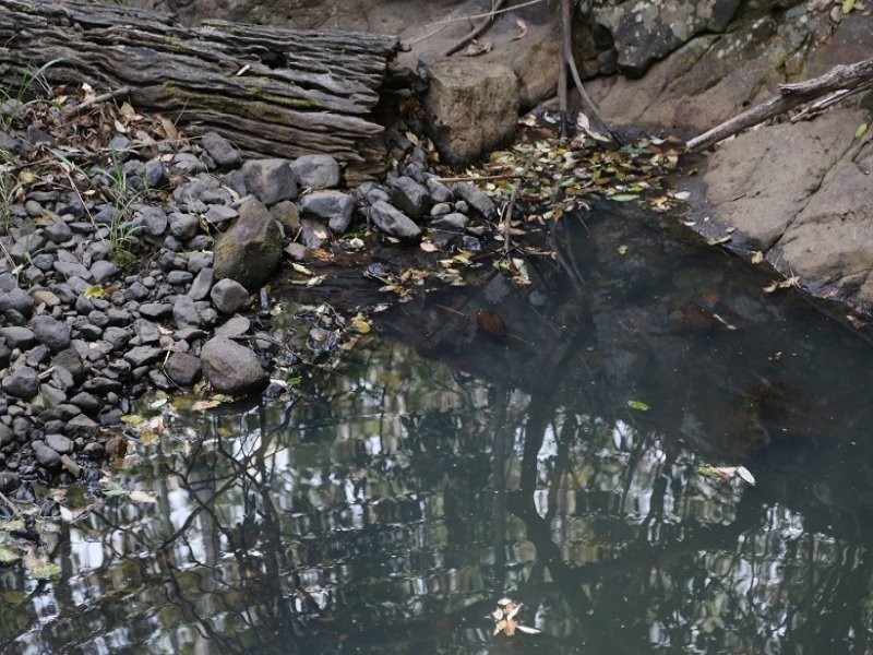 646 Hopkins Creek Road, Hopkins Creek NSW 2484