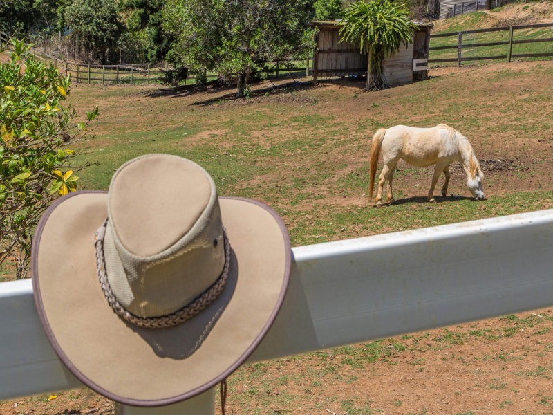 538 Duranbah Road, Duranbah NSW 2487