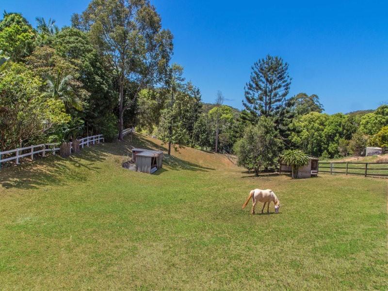 538 Duranbah Road, Duranbah NSW 2487