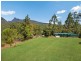 1270 Tyalgum Road, Tyalgum NSW 2484