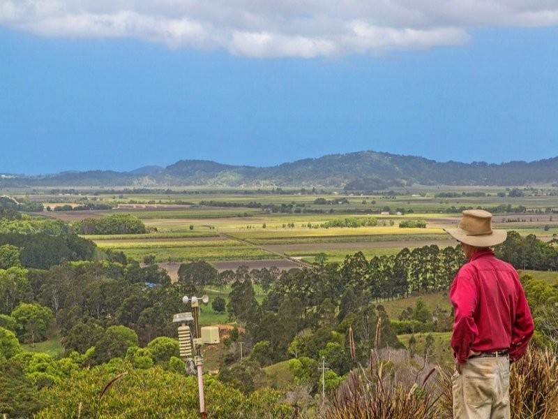 1039 Urliup Road, Murwillumbah NSW 2484