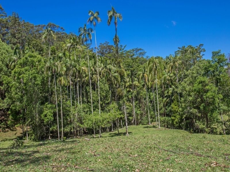 1039 Urliup Road, Murwillumbah NSW 2484