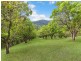 1039 Urliup Road, Murwillumbah NSW 2484