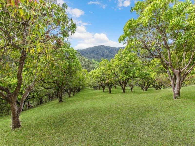 1039 Urliup Road, Murwillumbah NSW 2484