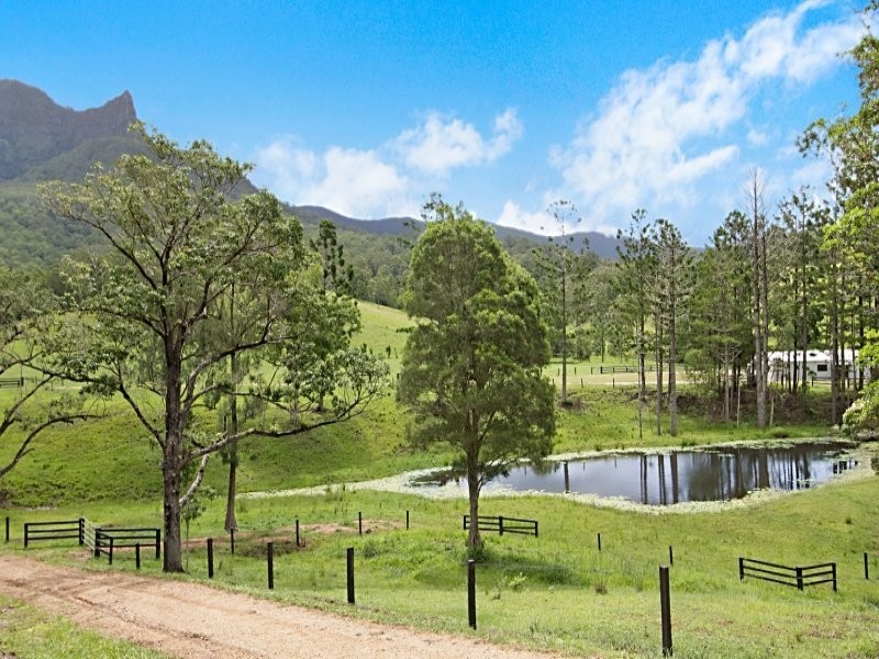 328 Back Creek Road, Tyalgum NSW 2484