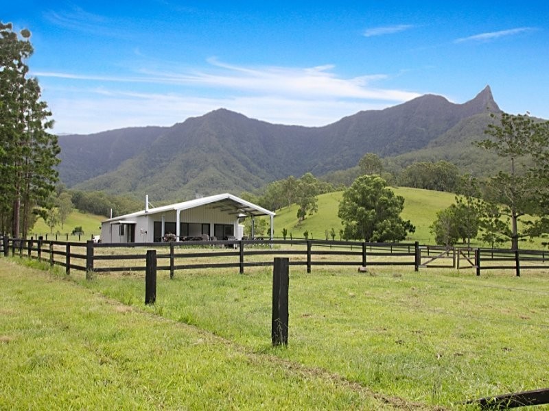 328 Back Creek Road, Tyalgum NSW 2484
