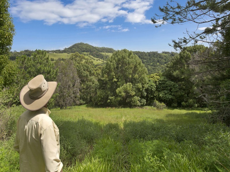 348 Carool Road, Carool NSW 2486