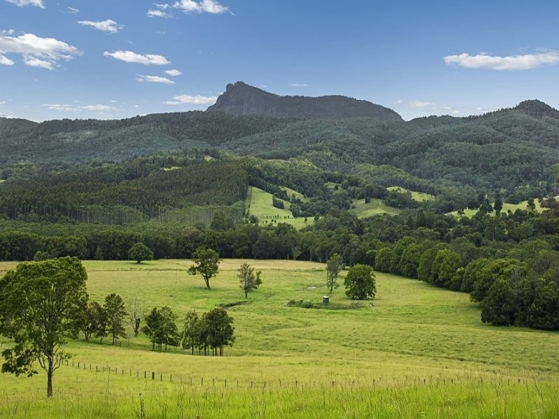 492 Brays Creek Road, Tyalgum NSW 2484