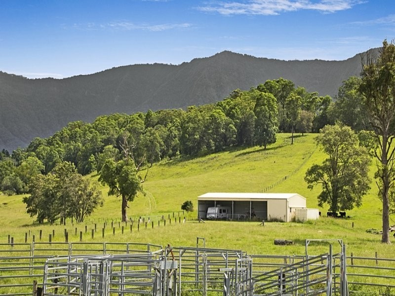 492 Brays Creek Road, Tyalgum NSW 2484