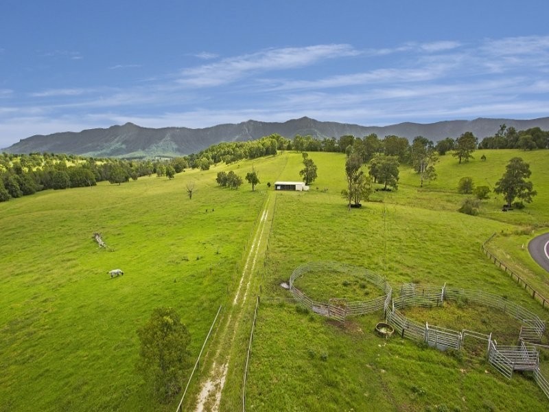 492 Brays Creek Road, Tyalgum NSW 2484