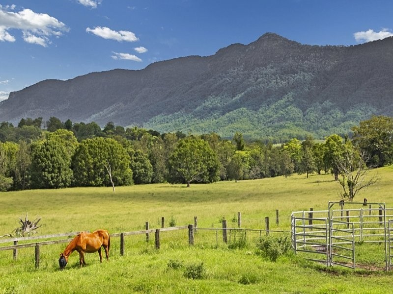 492 Brays Creek Road, Tyalgum NSW 2484