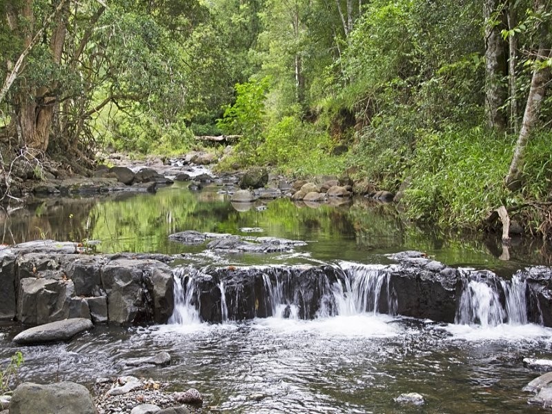 Lot 2 & 54 Stoddarts Road, Tyalgum NSW 2484