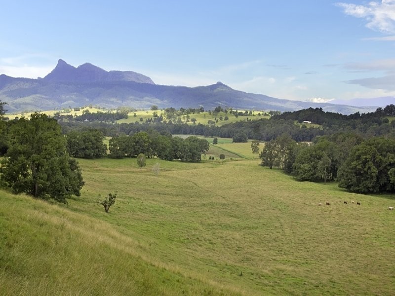 Lot 2 & 54 Stoddarts Road, Tyalgum NSW 2484