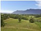 Lot 2 & 54 Stoddarts Road, Tyalgum NSW 2484