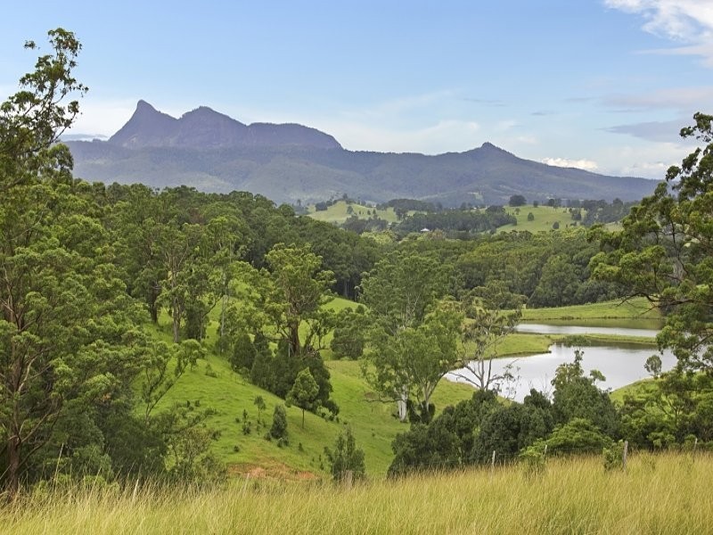 Lot 2 & 54 Stoddarts Road, Tyalgum NSW 2484