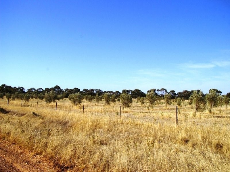 Sec 662 Martin Terrace, Kadina SA 5554