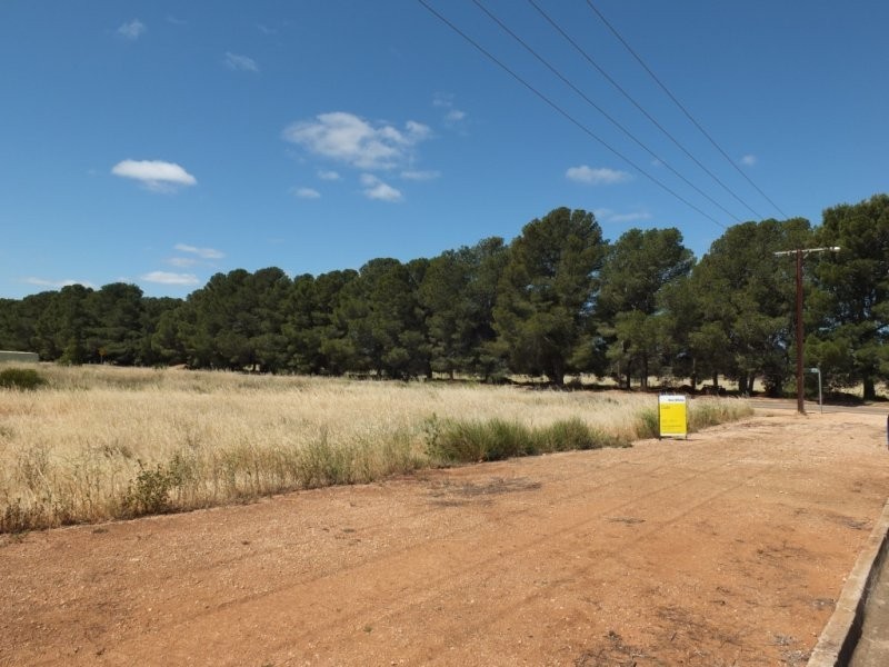 55 ( Lot 291 ) East Terrace, Snowtown SA 5520