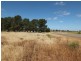 55 ( Lot 291 ) East Terrace, Snowtown SA 5520