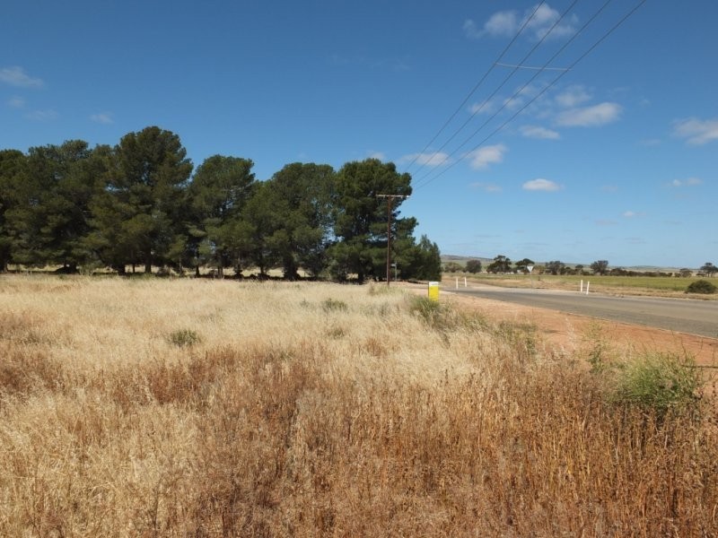 55 ( Lot 291 ) East Terrace, Snowtown SA 5520