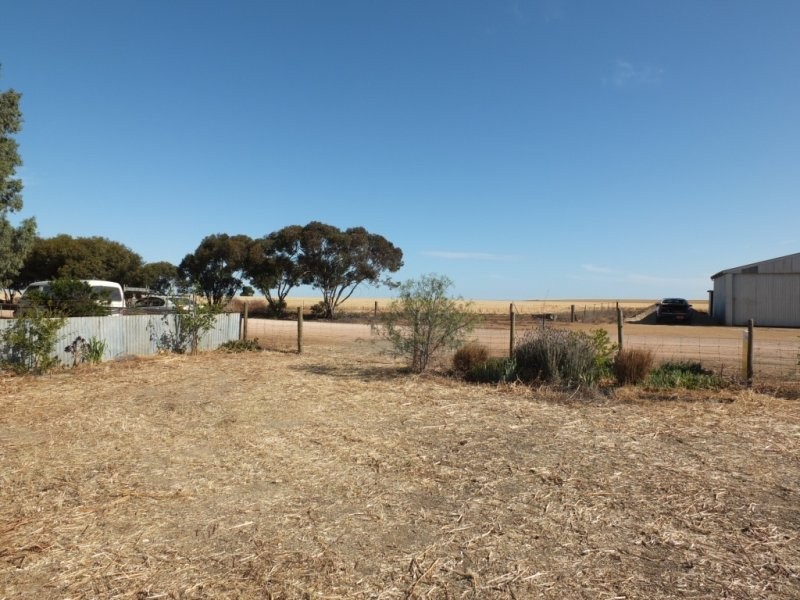 Lot 12 South Terrace, Kulpara SA 5555