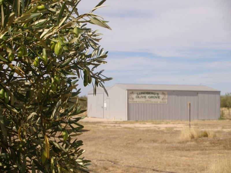 1620 Sobey Road, Kadina SA 5554