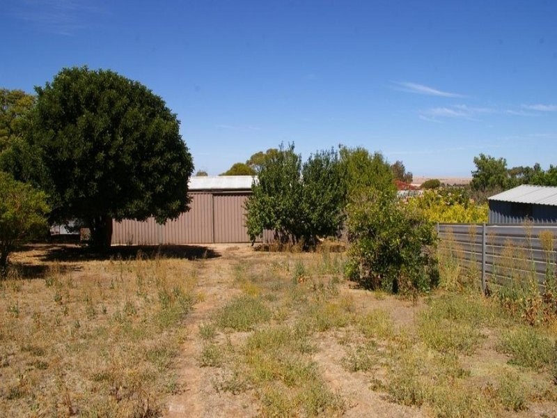 19 Bowman Terrace, Maitland SA 5573