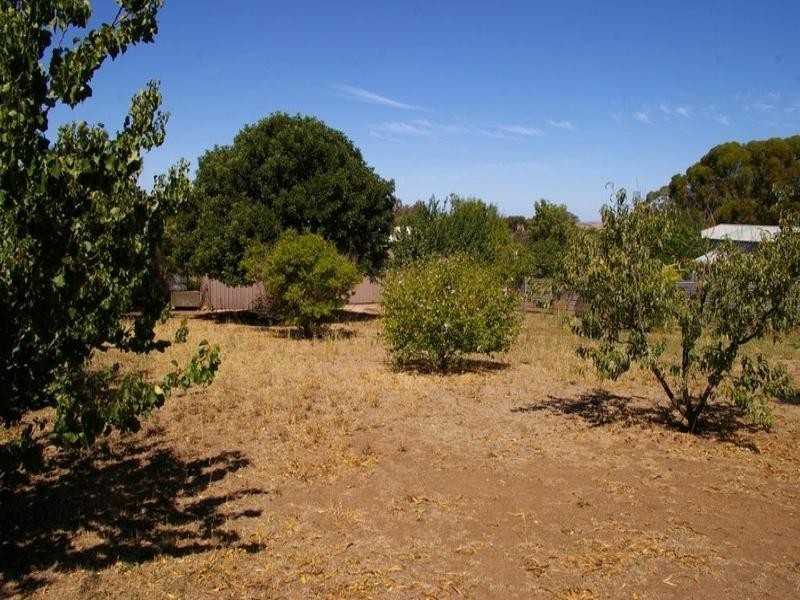 19 Bowman Terrace, Maitland SA 5573