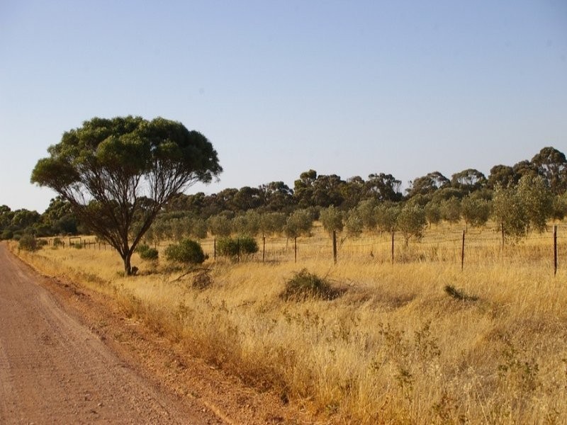 Sec 662 Martin Terrace, Kadina SA 5554
