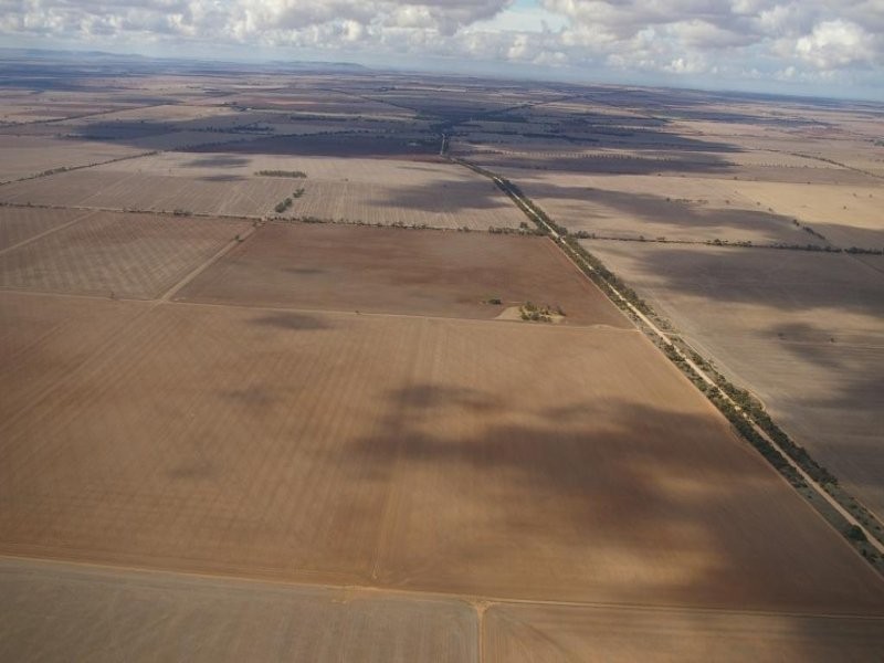 Cunliffe SA 5554