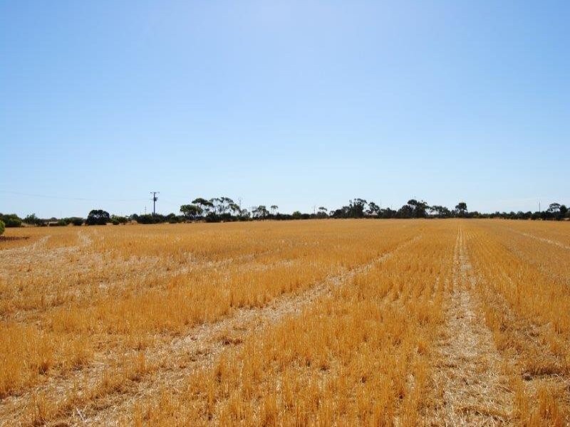 Sec 648 Fairfield Road, Kadina SA 5554