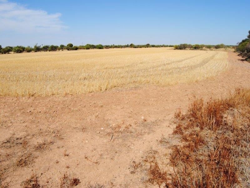 Sec 648 Fairfield Road, Kadina SA 5554