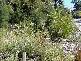 11A GALAHAD CLOSE, Mount Colah NSW 2079