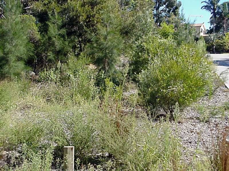 11A GALAHAD CLOSE, Mount Colah NSW 2079